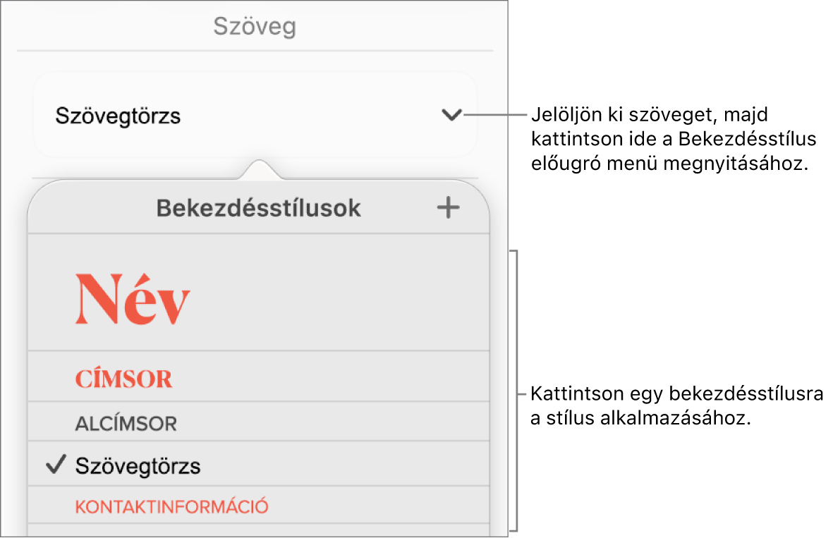 A Bekezdésstílusok menü.