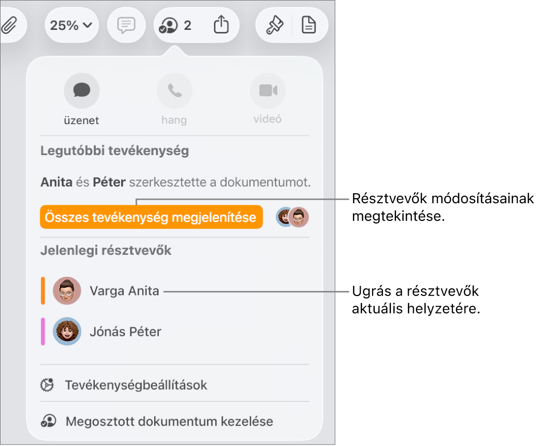 Az együttműködési menü két jelenlegi résztvevővel.