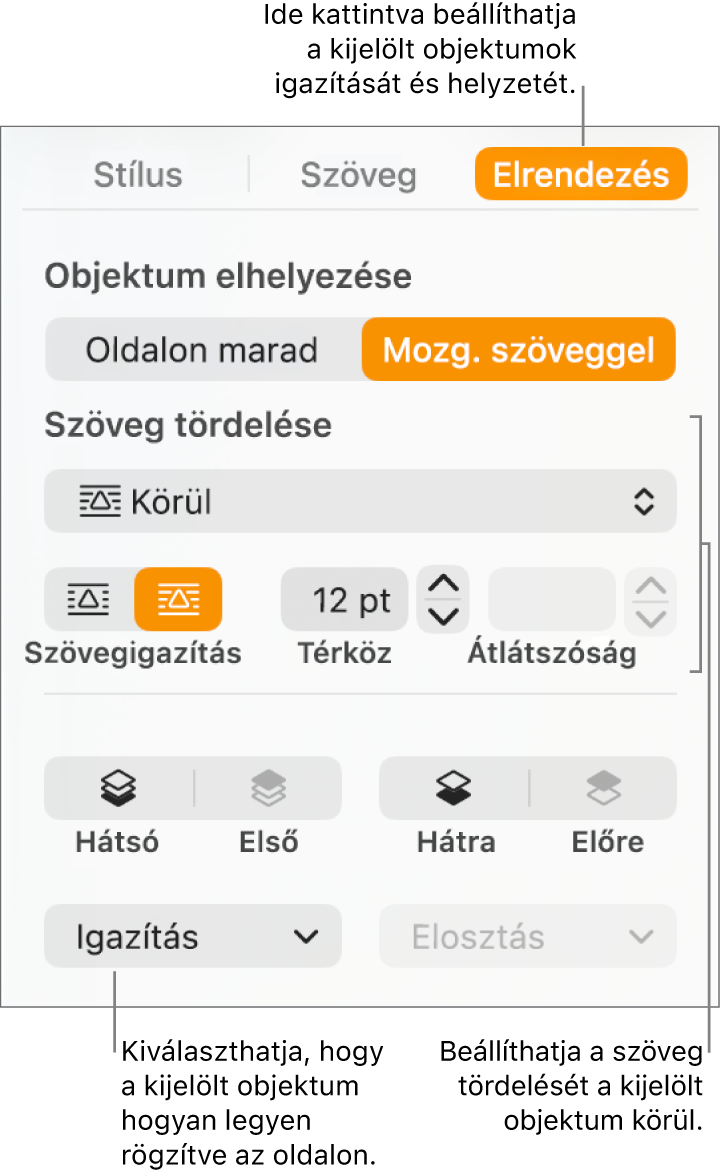 A Formázás menü az Elrendezés oldalsávval. Az Objektum elhelyezése beállítások az Elrendezés oldalsáv tetején helyezkedik el, amelyek alatt a Szöveg tördelése beállítások láthatók.