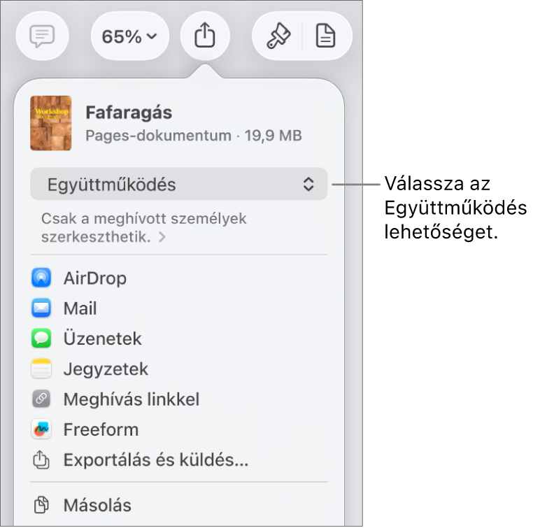 A Megosztás menü a felül kijelölt Együttműködés lehetőséggel, és az alatt látható hozzáférési és jogosultsági beállításokkal.