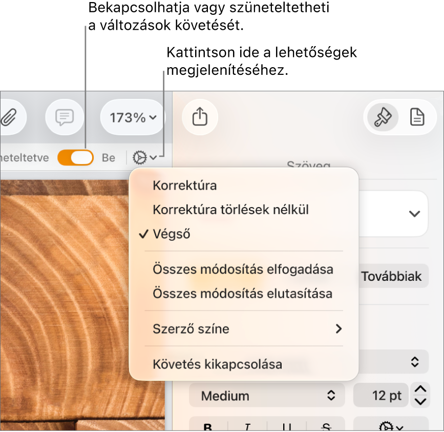 A Változáskövetési beállítások menü alul a Követés kikapcsolása lehetőséggel, valamint a Követés bekapcsolva és a Szüneteltetve gombokat jelölő feliratokkal.