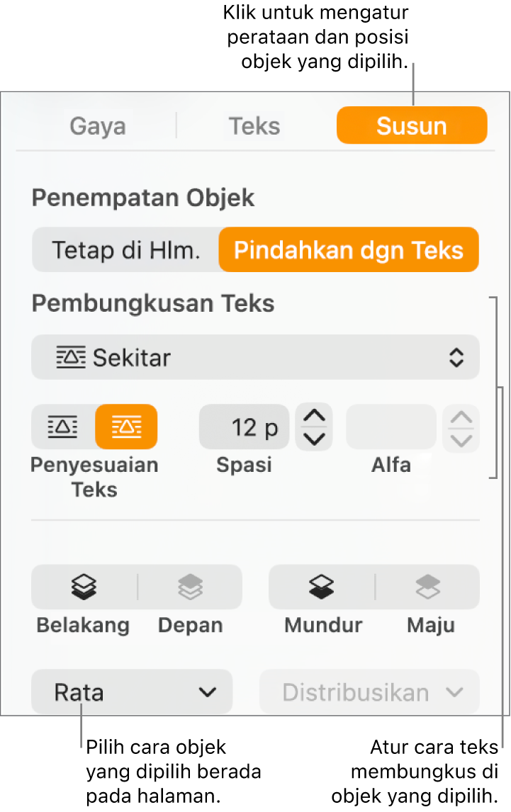 Menu Format dengan bar samping Atur ditampilkan. Pengaturan Penempatan Objek ada di bagian atas bar samping Atur, dengan pengaturan Pembungkusan Teks di bawah.