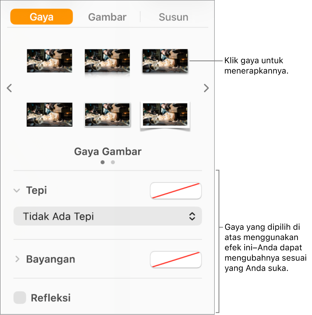 Tab Gaya pada bar samping Format menampilkan pilihan gaya objek.