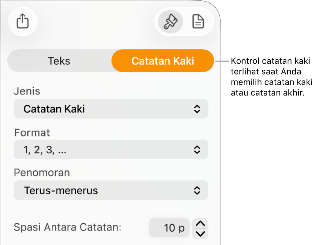 Panel Catatan Kaki menampilkan menu pop-up untuk Jenis, Format, Penomoran, dan spasi di antara catatan.