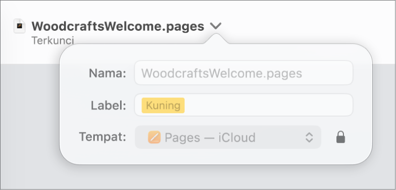 Pop-up untuk mengunci atau membuka dokumen.