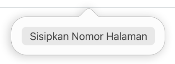 Tombol Sisipkan Nomor Halaman di bawah header.