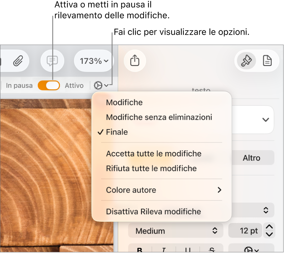 Menu delle opzioni di rilevamento con “Disattiva Rileva modifiche” nella parte inferiore e didascalie per i pulsanti “Rilevamento modifiche attivo” e “In pausa”.