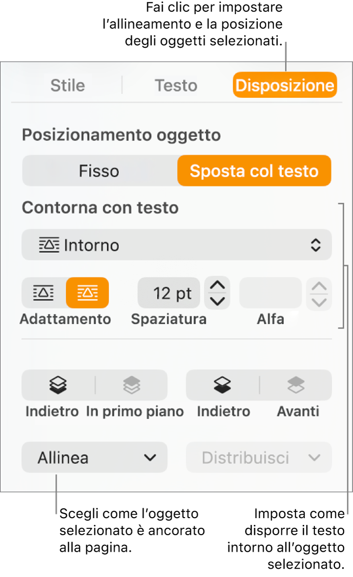 Il menu Formattazione che mostra la barra laterale Disposizione. Le impostazioni “Posizionamento oggetto” si trovano nella parte superiore della barra laterale Disposizione, con le impostazioni di “Contorna testo” al di sotto.