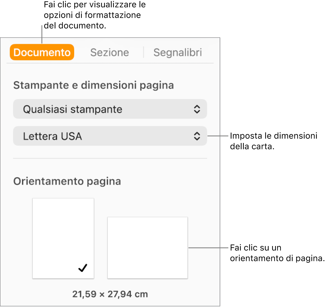 La barra laterale Documento con selezionato il pannello Documento nella parte superiore della barra laterale. Nella barra laterale si trovano un menu a comparsa per impostare le dimensioni di pagina e i pulsanti per l’orientamento della pagina orizzontale e verticale.