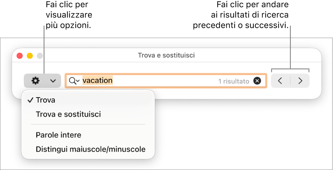 La finestra “Trova e sostituisci” con il menu a comparsa mostrante le opzioni per Trova, “Trova e sostituisci”, “Parole intere” e “Maiuscole/minuscole”. Le frecce a destra consentono di passare ai risultati di ricerca successivi o precedenti.