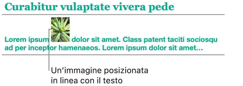 Un’immagine posizionata in linea con il testo.