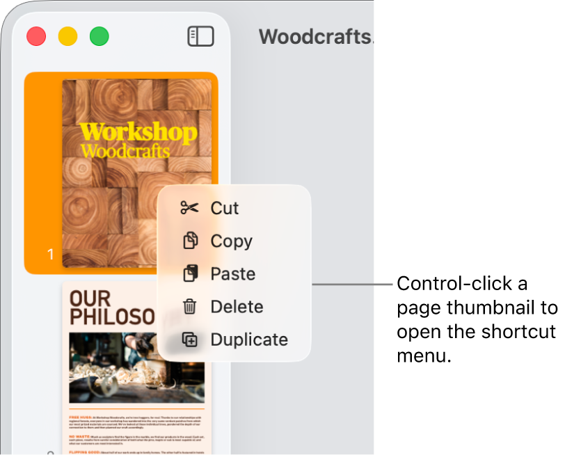 Vista “Miniature pagina” con una miniatura selezionata e il menu di scelta rapida aperto.