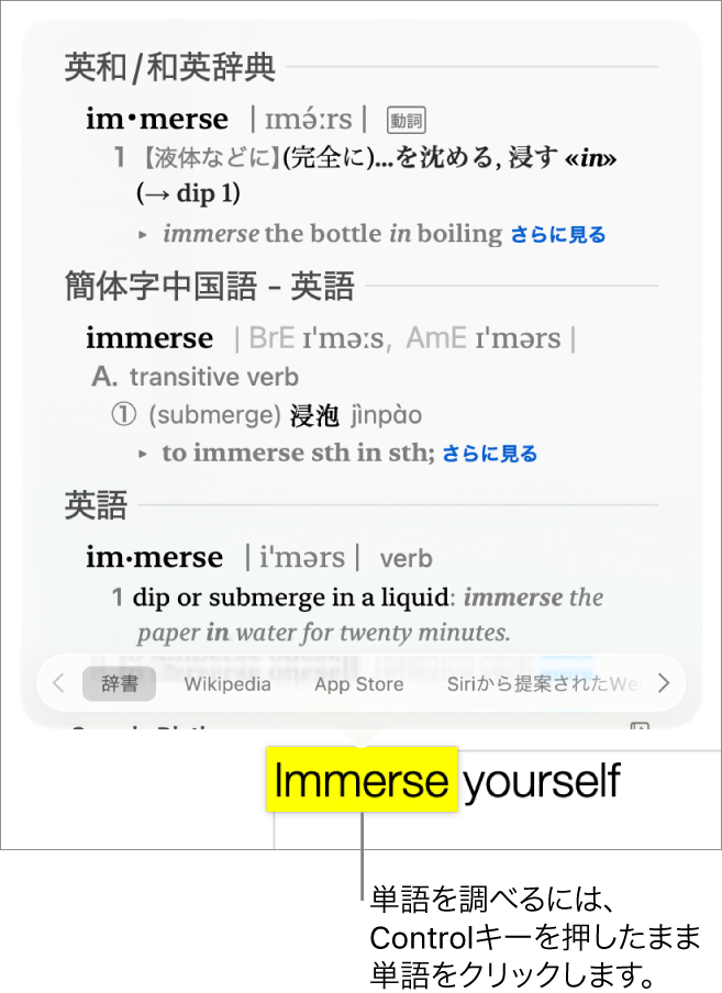 段落内で強調表示された単語とその定義およびシソーラスエントリーが表示されたウインドウ。ウインドウの下部にあるボタンは、辞書、Wikipedia、およびSiriから提案されたWebサイトへのリンクになっています。