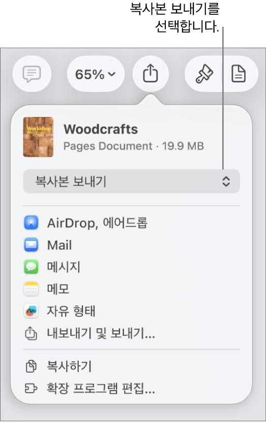 상단에 복사본 보내기가 선택되어 있는 공유 메뉴.