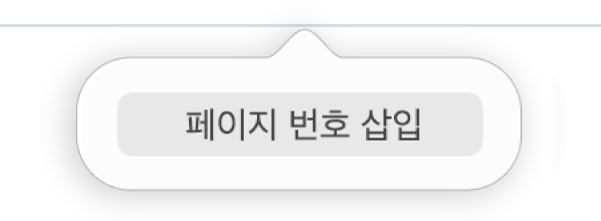 머리말 아래에 있는 페이지 번호 삽입 버튼.