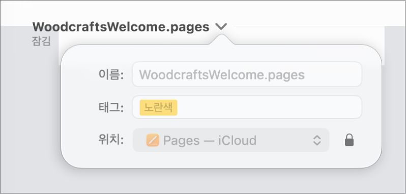문서 잠금 또는 잠금 해제를 위한 팝업.