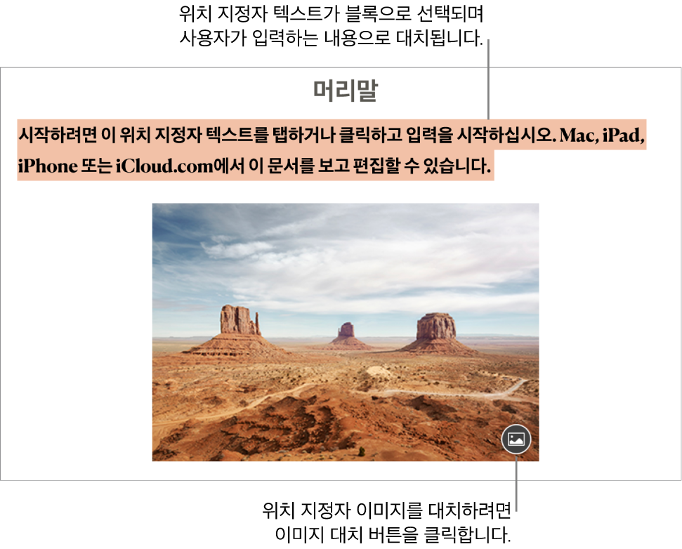 위치 지정자 텍스트 및 이미지.