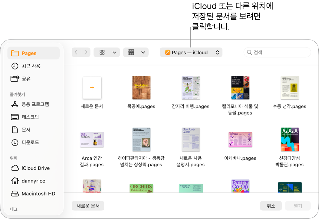 사이드바가 열려 있는 열린 대화상자가 왼쪽이 있고 상단의 팝업 메뉴에 iCloud Drive가 선택됨. 대화상자에 새로운 문서 버튼과 Pages 폴더가 표시됩니다.