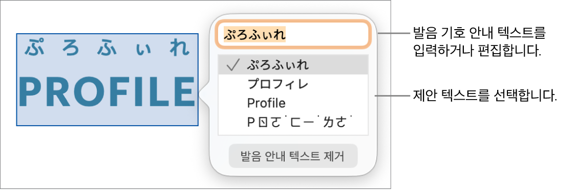 발음 기호 안내는 텍스트 필드 및 제안 텍스트에 대한 설명이 있는 단어에 대해 열립니다.