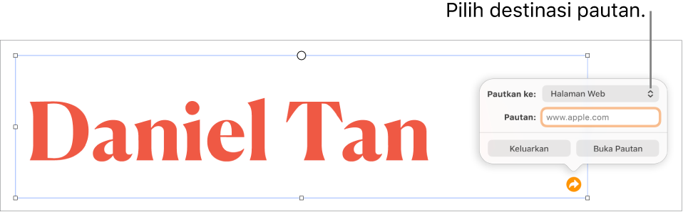 Kawalan editor pautan dengan Halaman Web dipilih dan butang Keluarkan serta Buka Pautan di bahagian bawah.