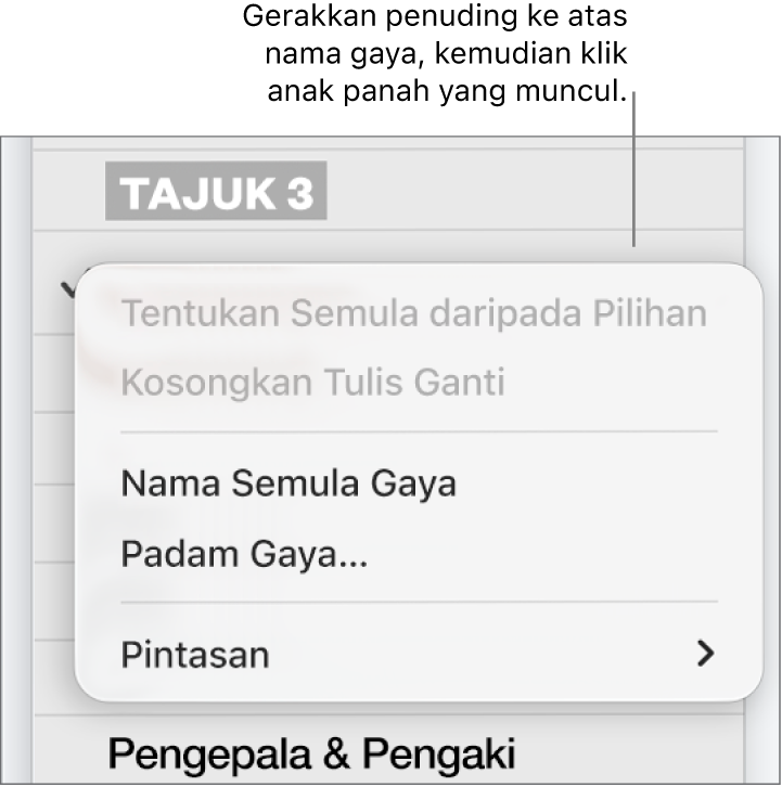 Menu Gaya Perenggan dengan menu pintasan terbuka.