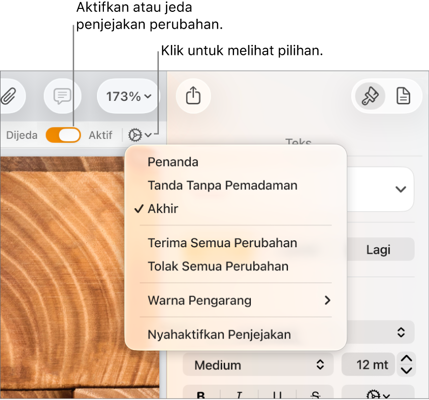 Menu pilihan penjejakan yang menunjukkan Nyahaktifkan Penjejakan di bahagian bawah dan petak bual ke butang Penjejakan Aktif dan Dijeda.