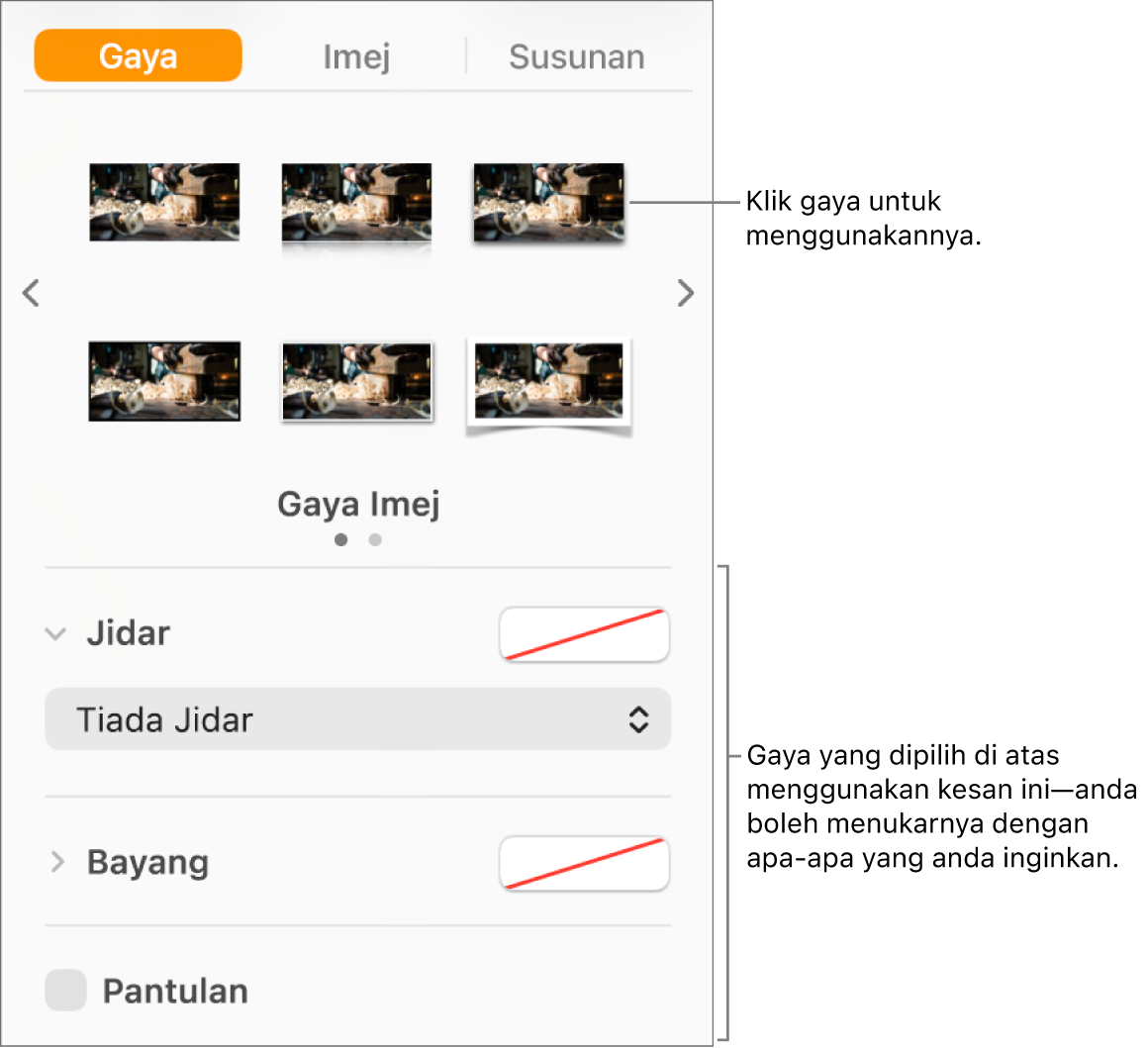 Tab Gaya pada bar sisi Format menunjukkan pilihan gaya objek.