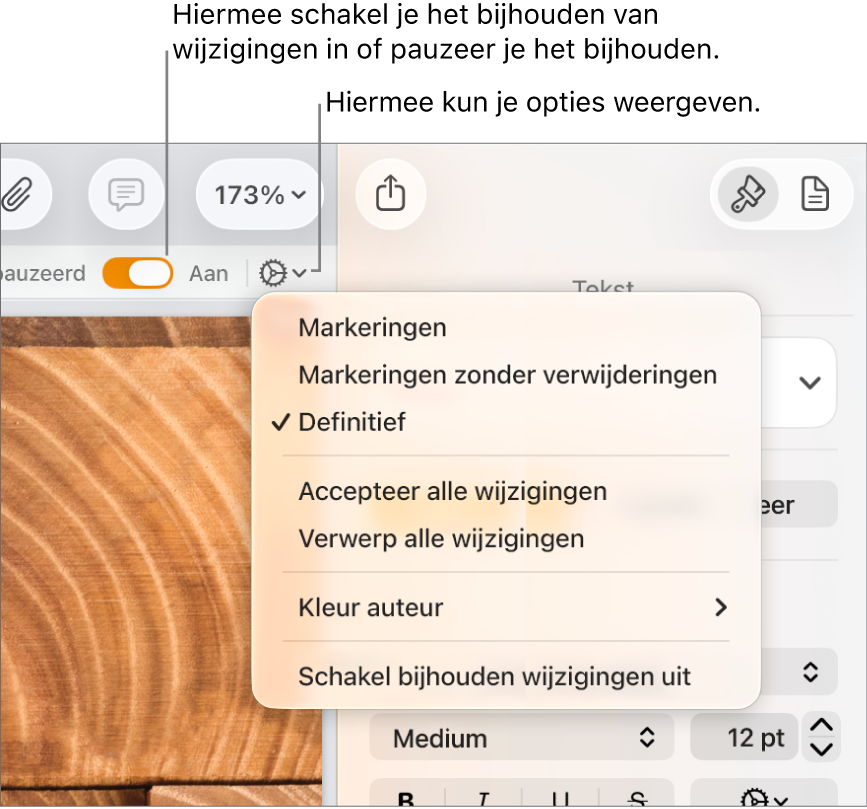 Het menu om wijzigingen bij te houden met optie 'Schakel bijhouden wijzigingen uit' onderin en met uitleg bij de knoppen 'Aan' en 'Gepauzeerd'.