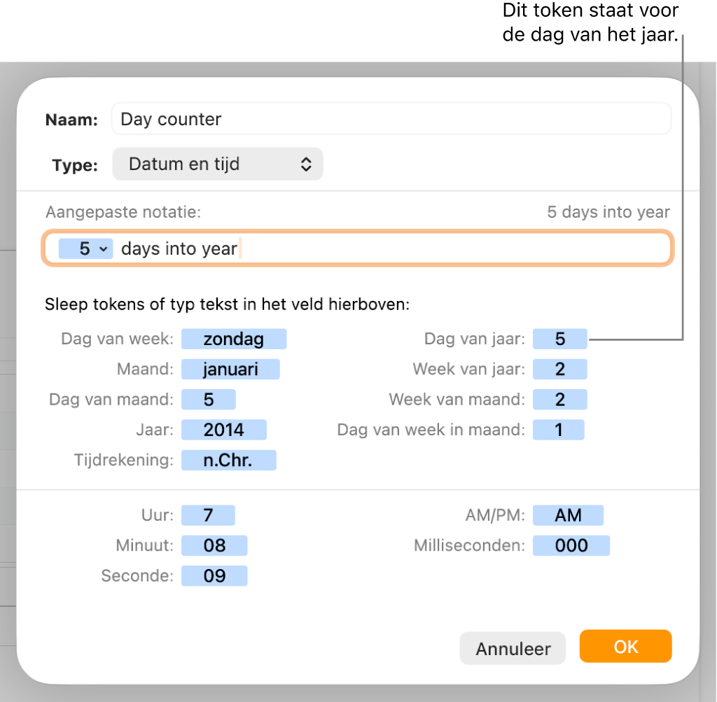 Het venster voor aangepaste celnotatie met regelaars voor het kiezen van aangepaste datum- en tijdnotatie.
