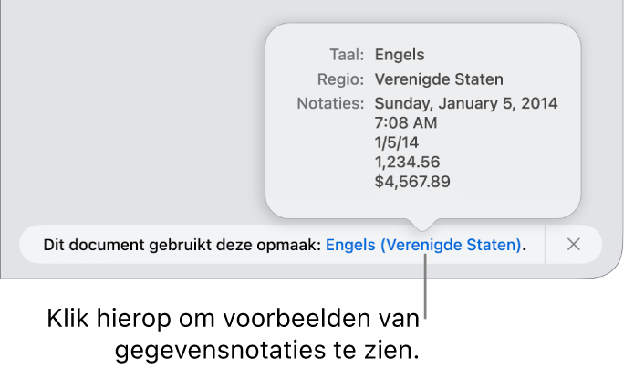 De melding van de afwijkende taal en regio, met voorbeelden van de opmaak in die taal en voor die regio.