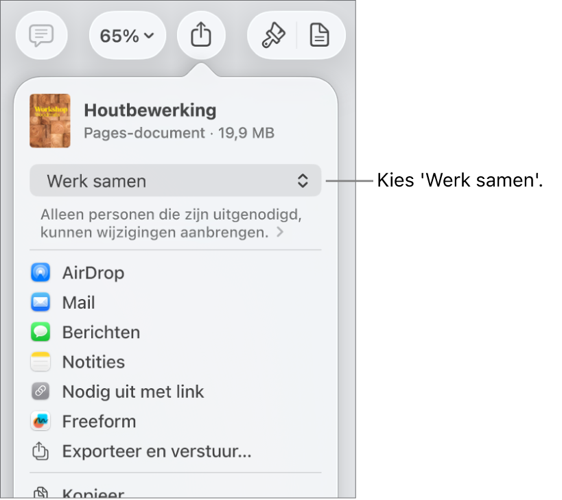 Het Deel-menu waarin bovenin 'Werk samen' is geselecteerd. Eronder staan toegangsinstellingen en bevoegdheden.