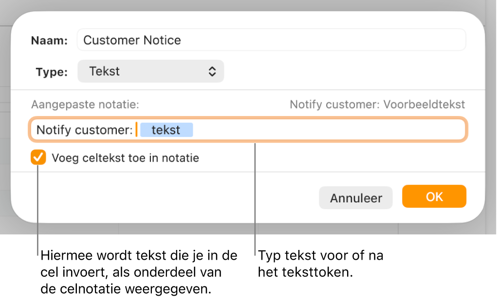 Het venster voor aangepaste celnotatie met regelaars voor het kiezen van aangepaste tekstnotatie.