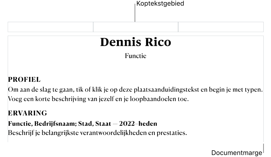 De lay-outweergave met het koptekstgebied en documentmarges.