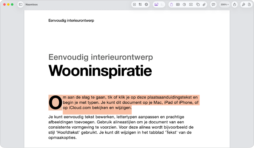 Een geopend document waarin plaatsaanduidingstekst is geselecteerd.