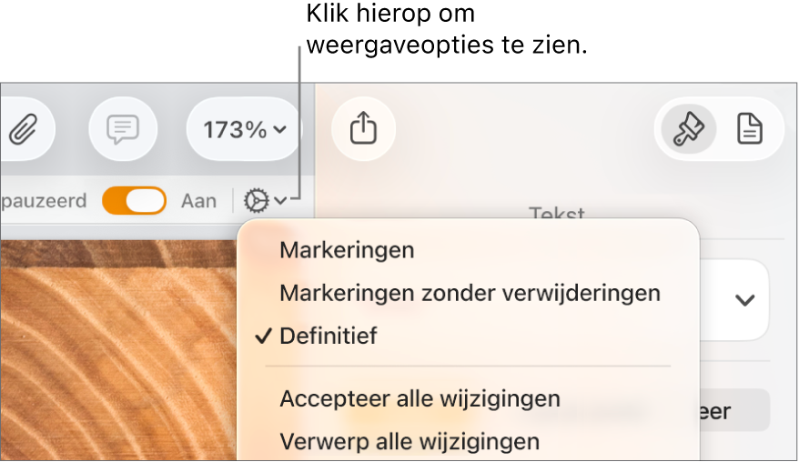 Het menu met controlefuncties, met de opties 'Markeringen', 'Markeringen zonder verwijderingen' en 'Definitief''.