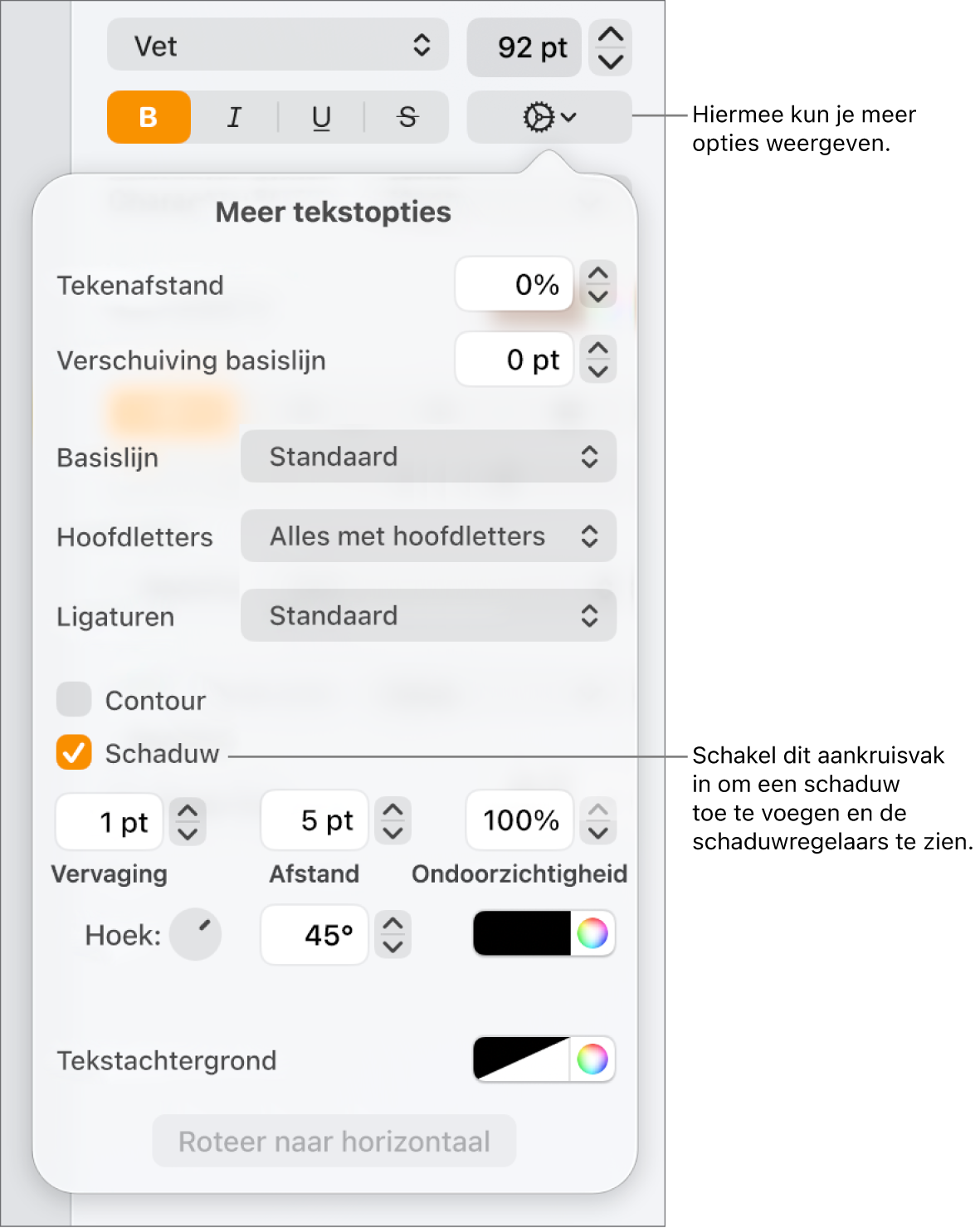 Het menu met geavanceerde opties met het aankruisvak 'Schaduw' ingeschakeld en regelaars voor het instellen van de vervaging, afstand, ondoorzichtigheid, hoek en kleur.