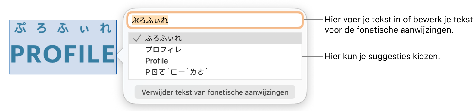 De fonetische aanwijzingen voor een woord, met uitleg bij het tekstveld en de voorgestelde tekst.