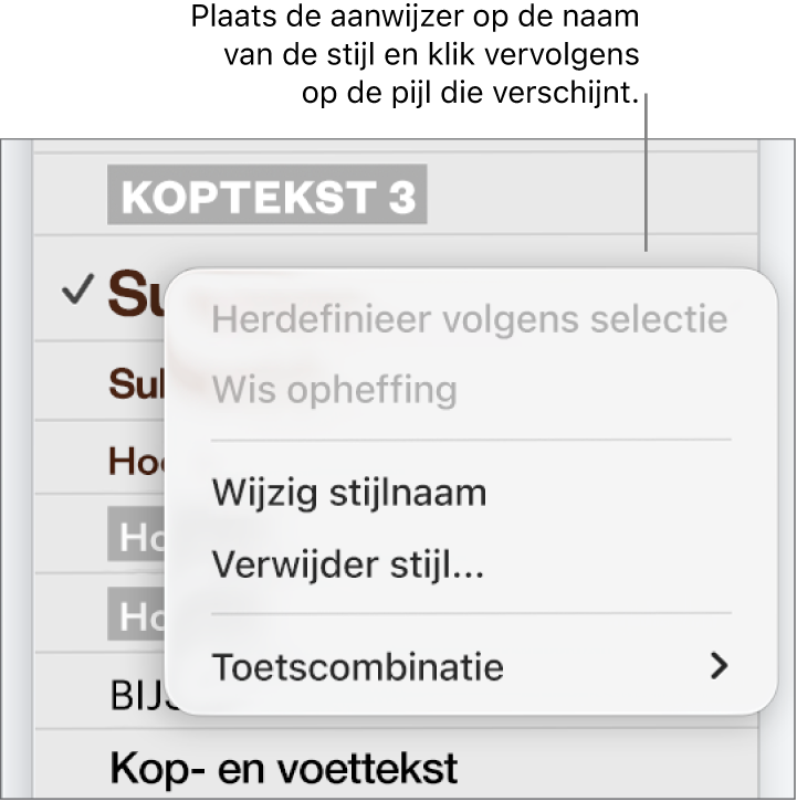 Het menu 'Alineastijlen' met het contextuele menu geopend.