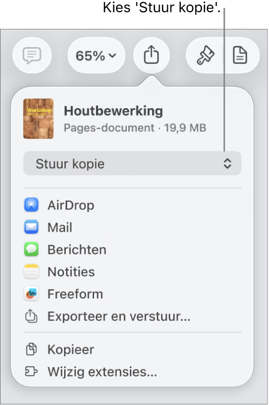 Het Deel-menu waarin bovenin 'Stuur kopie' is geselecteerd.