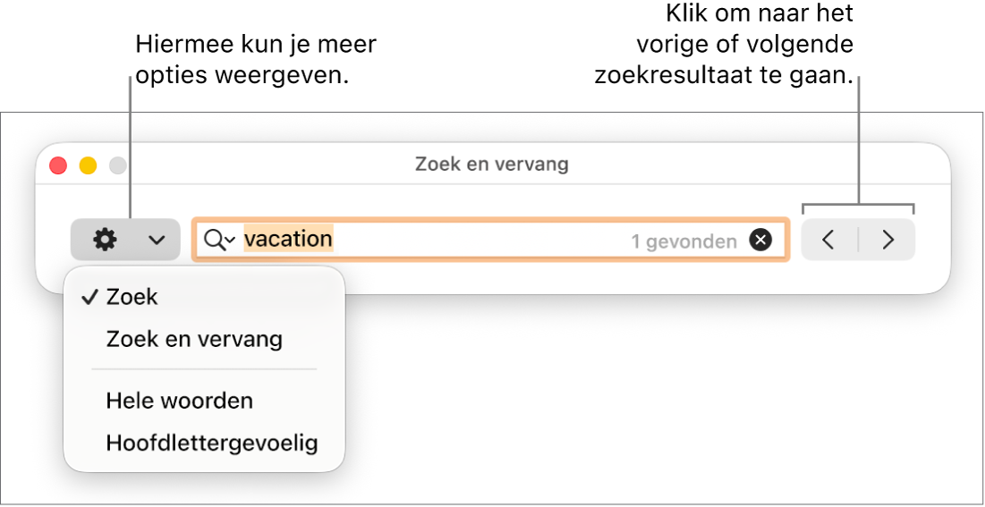 Het venster 'Zoek en vervang' met een pop‑upmenu met de opties 'Zoek', 'Zoek en vervang', 'Hele woorden' en 'Hoofdlettergevoelig'. Met de pijlen aan de rechterkant kun je naar het vorige of volgende zoekresultaat gaan.
