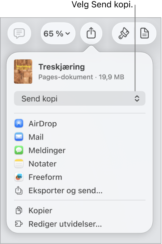 Del-menyen med Send kopi markert øverst.