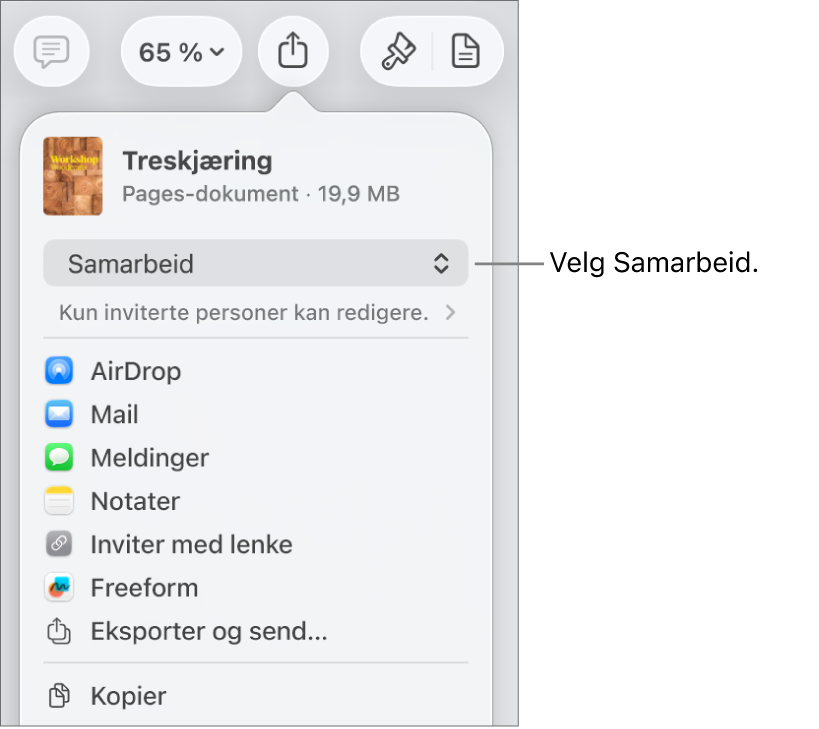 Del-menyen med Samarbeid markert øverst, og tilgangs- og tillatelsesinnstillingene under.