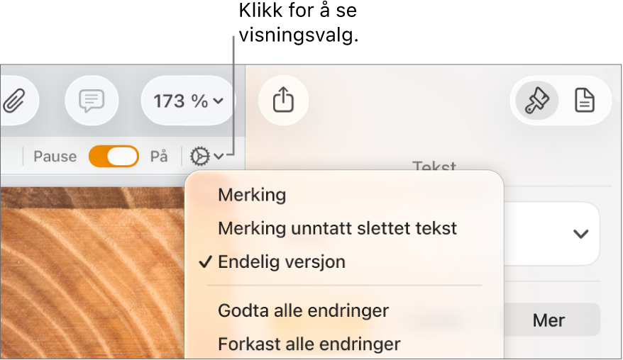 Gjennomgangsvalg-menyen som viser Merking, Merking uten slettet tekst og Endelig versjon.