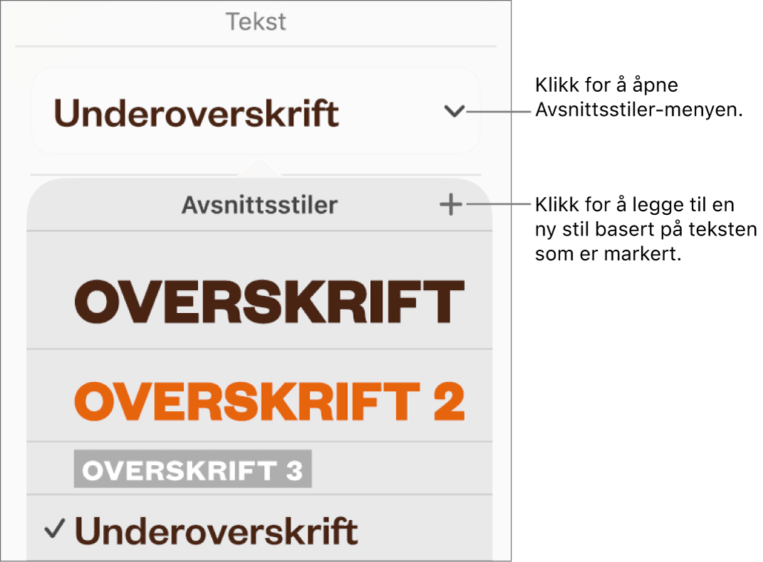 Avsnittsstiler-menyen, som viser kontroller for å legge til eller endre en stil.