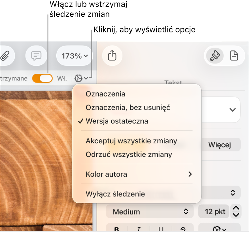 Menu opcji śledzenia zmian z poleceniem Wyłącz śledzenie na dole i etykietami do przycisków włączania i wstrzymywania śledzenia.