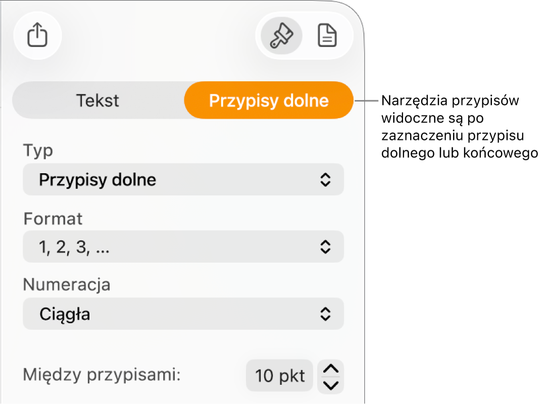 Panel przypisów dolnych oraz opcje menu podręcznego Typ, Format, Numeracja i odstęp między przypisami.