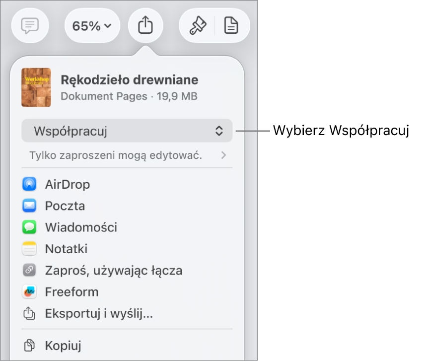 Menu udostępniania z opcją Współpracuj wybraną u góry oraz ustawieniami dostępu i uprawnień poniżej.