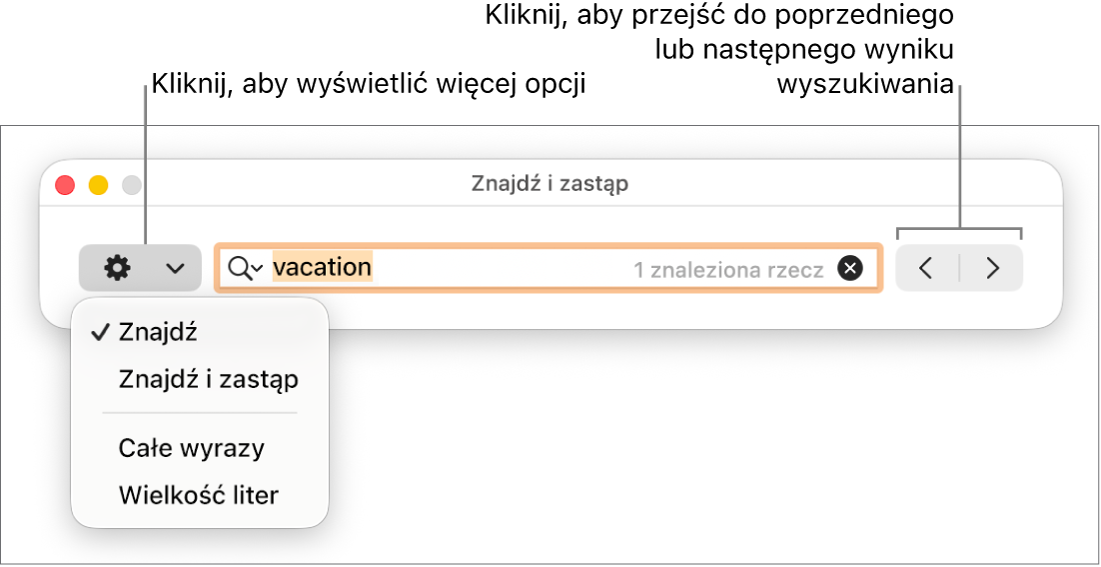 Okno Znajdź i zastąp oraz menu podręczne zawierające opcje Znajdź, Znajdź i zastąp, Całe wyrazy oraz Wielkość liter. Strzałki znajdujące się po prawej umożliwiają przechodzenie do poprzedniego lub następnego wyniku wyszukiwania.