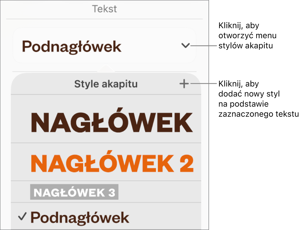 Menu Style akapitu, zawierające narzędzia pozwalające na dodawanie lub zmienianie stylu.