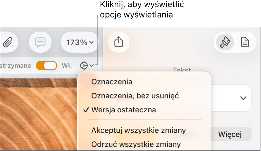Menu opcji recenzenta z poleceniami Oznaczenia, Oznaczenia bez usunięć oraz Wersja ostateczna.